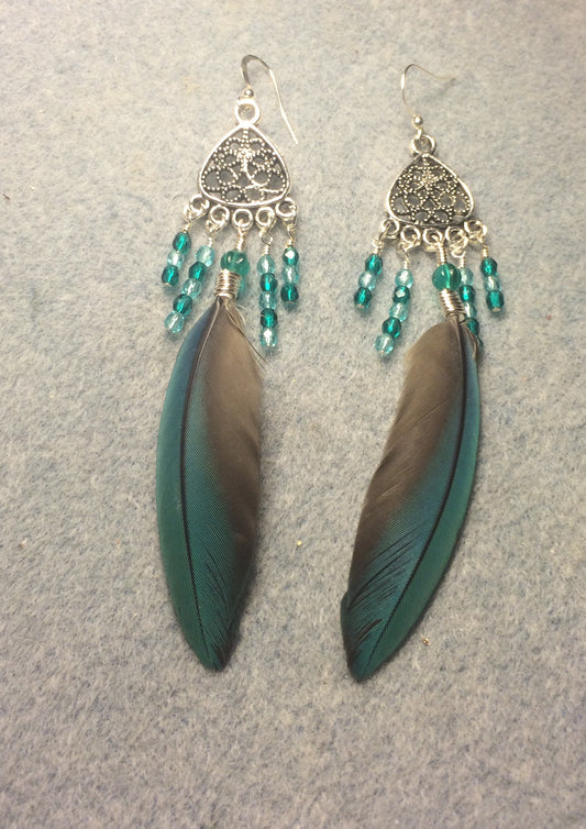 Turquoise macaw feather earrings attached to silver chandelier findings and adorned with small turquoise Czech glass beads.