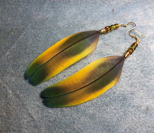 Long yellow and green scarlet macaw feather earrings adorned with yellow and green Czech glass beads.