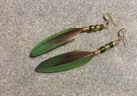 Dark green mini macaw parrot feather earrings adorned with green Czech glass beads