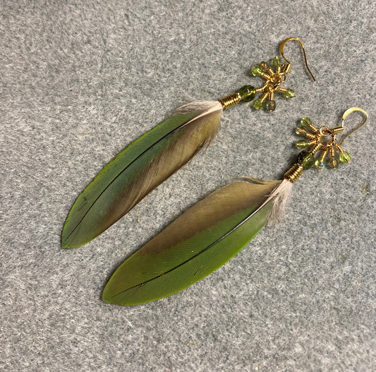 Olive green Amazon parrot feather earrings adorned with olive green Czech glass beads and small dangling Czech glass beads.