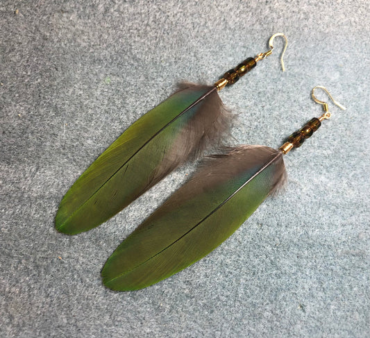 Olive green military macaw feather earrings adorned with olive green Czech glass beads.