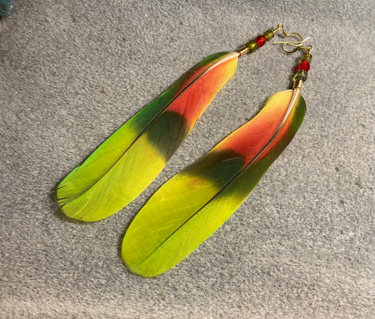 Yellow naped Amazon tail feather earrings adorned with red, yellow, and green Czech glass beads.