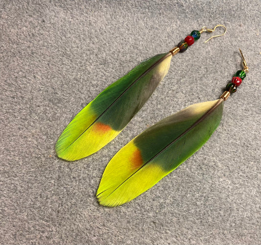 Orange winged Amazon tail feather earrings adorned with dark green, red, and lime green Czech glass beads.