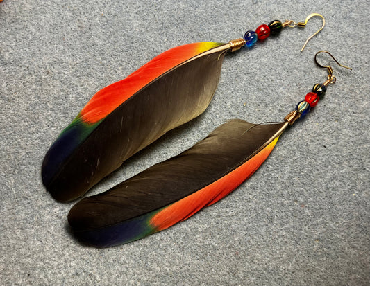 Black, dark blue, red, and green Amazon wing feather earrings adorned with blue, red, and green Czech glass beads.