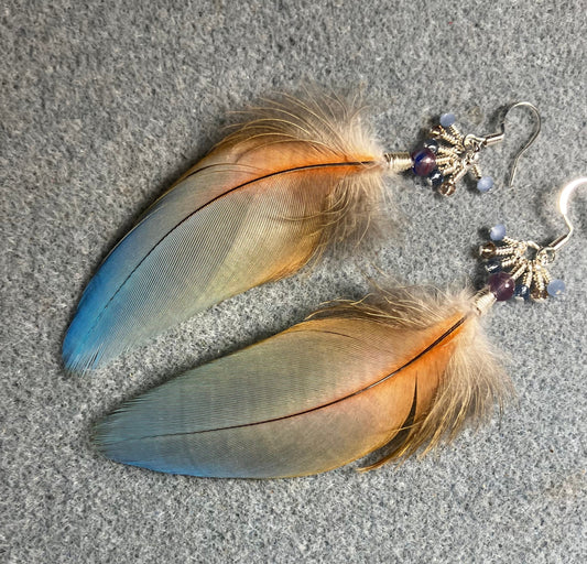 Light blue and peach macaw feather earrings adorned with blue Czech glass beads and tiny dangling light blue and peach Chinese crystal beads.