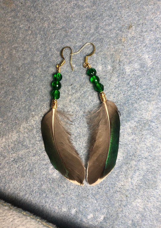 Iridescent green mallard duck feather earrings adorned with emerald green Czech glass beads.