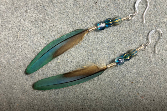 Slender turquoise blue and gold macaw feather earrings adorned with turquoise Czech glass beads.