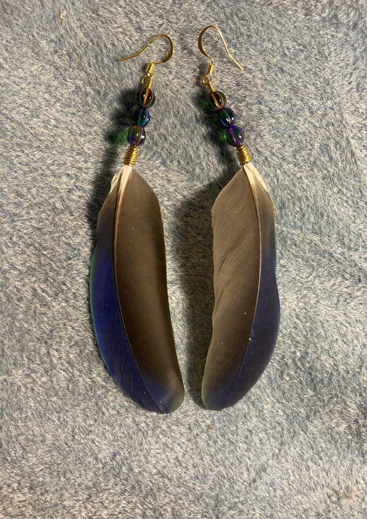 Blue and green spectacled Amazon feather earrings adorned with blue and green Czech glass beads.