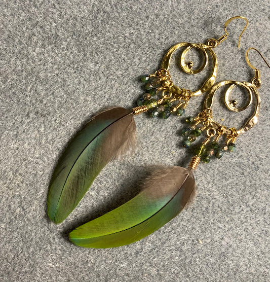 Green macaw feather earrings on a double god loop and adorned with tiny green and turquoise Czech glass beads.