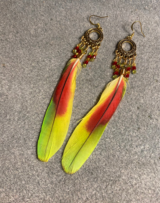 Green and red Amazon parrot feather earrings attached to gold chandelier findings and adorned with small green, red, and yellow Czech glass beads.